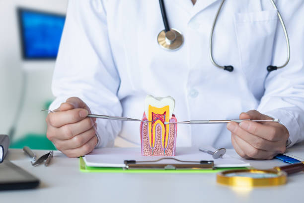Best Emergency Orthodontic Repairs in Cle Elum, WA